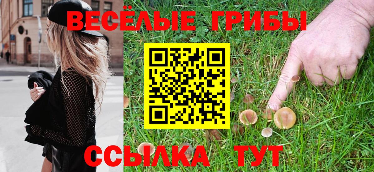Каменск-Уральский  Псилоцибиновые грибы Cubensis  наркошоп  Псилоцибиновые грибы мицелий  Вход с VPN 