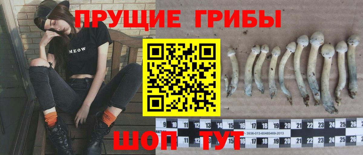Галлюциногенные грибы GOLDEN TEACHER Каменск-Уральский